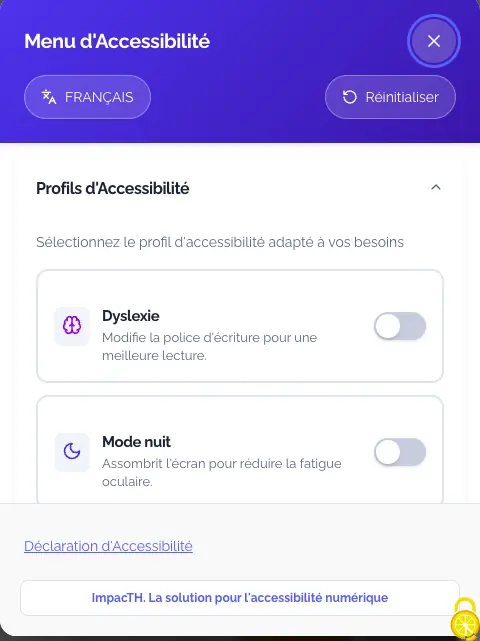Panneau widgeTH : profils d’accessibilité Dyslexie et Mode nuit